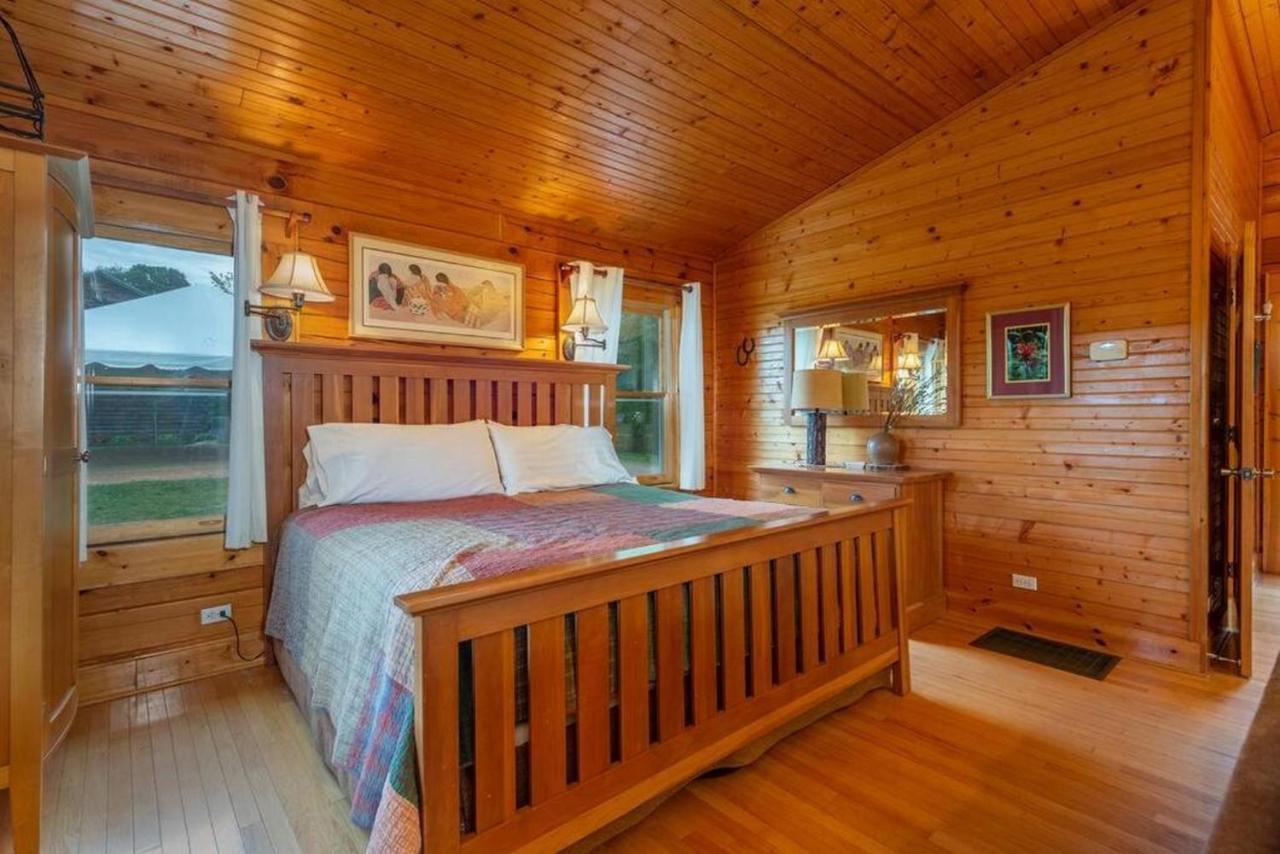Log Cabin Stunning Mountain Views On 12 Acres Candler Kültér fotó