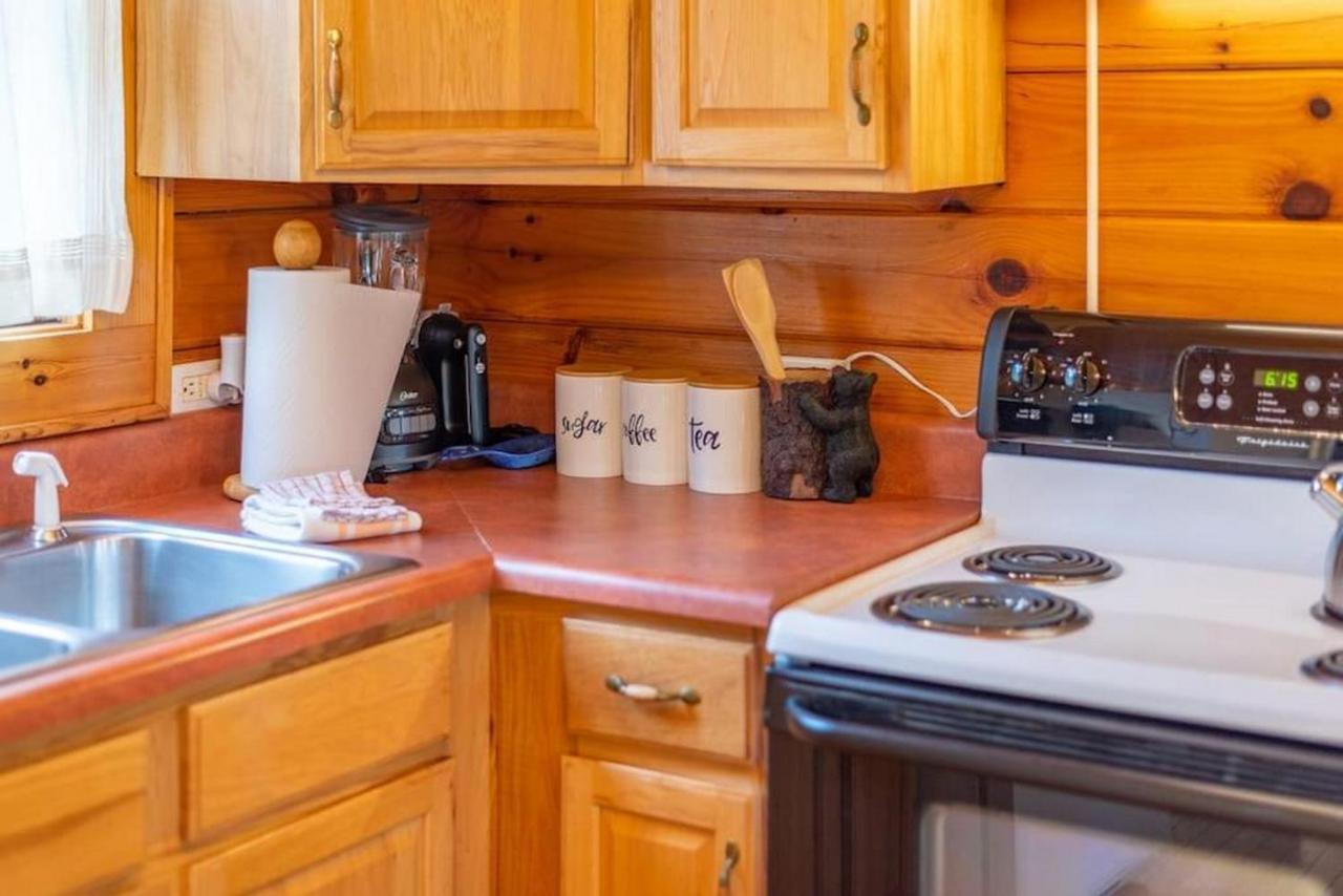 Log Cabin Stunning Mountain Views On 12 Acres Candler Kültér fotó